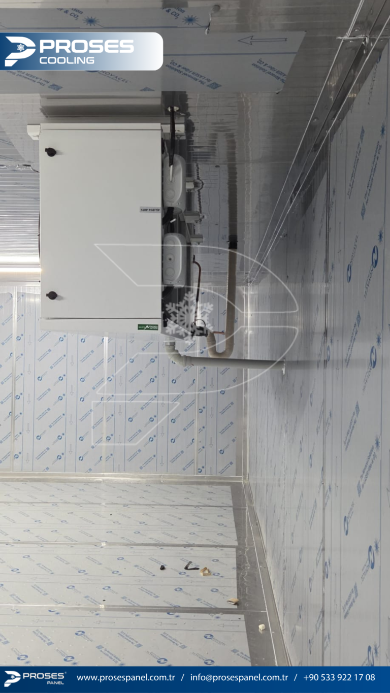 httptv.pterophyllum.online_20260402_235052_0000