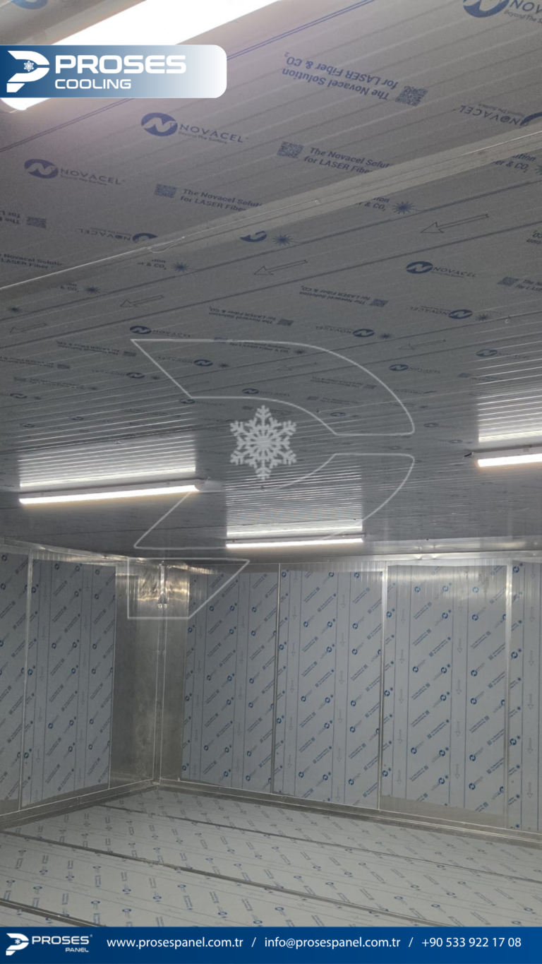 httptv.pterophyllum.online_20260402_235129_0000