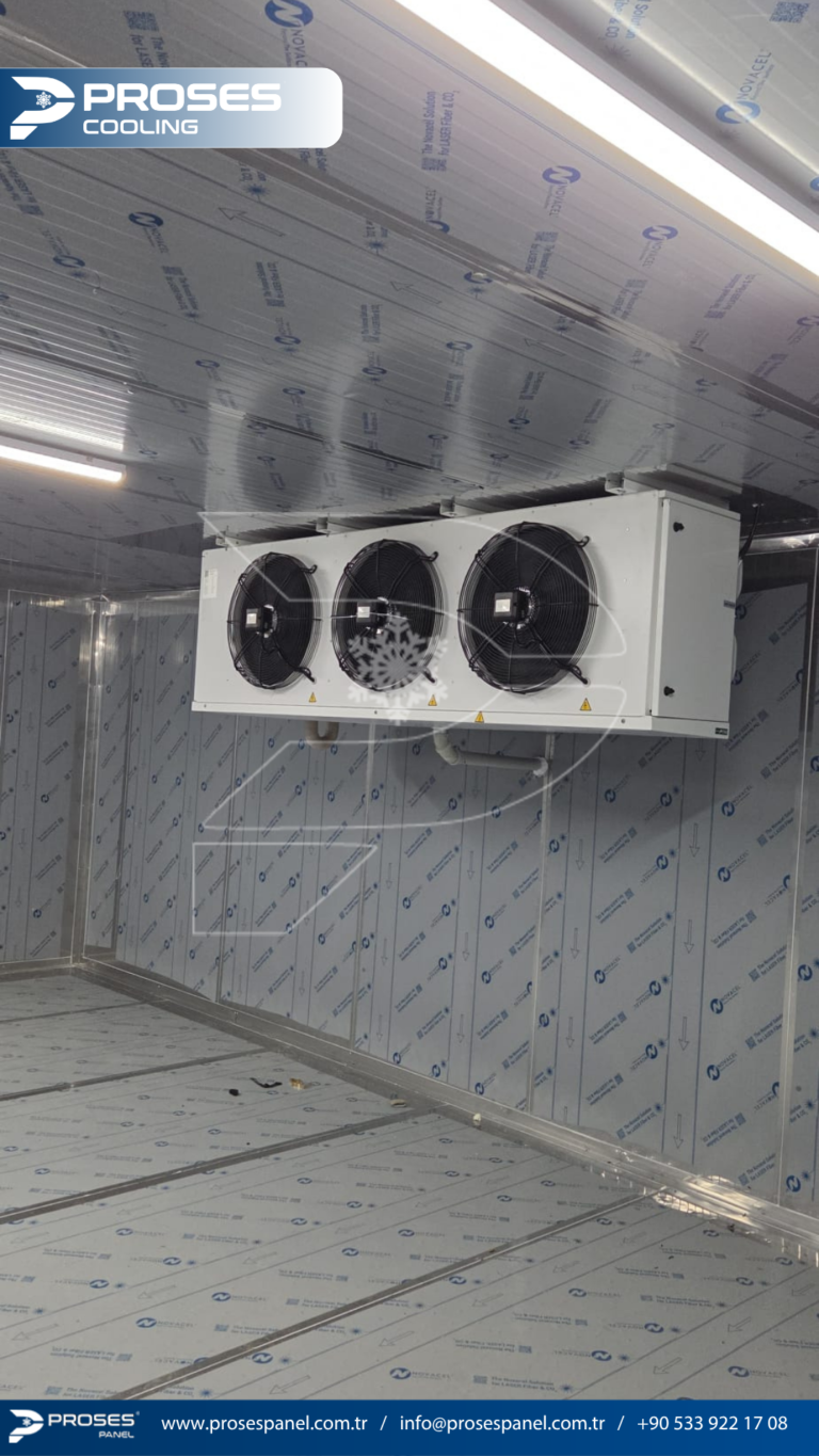 httptv.pterophyllum.online_20260402_235201_0000