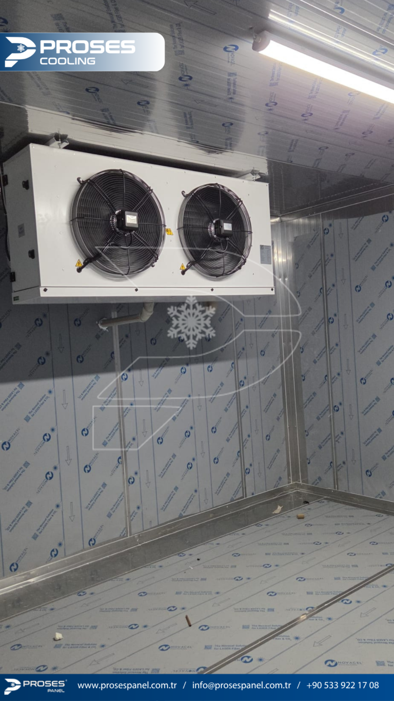 httptv.pterophyllum.online_20260402_235319_0000