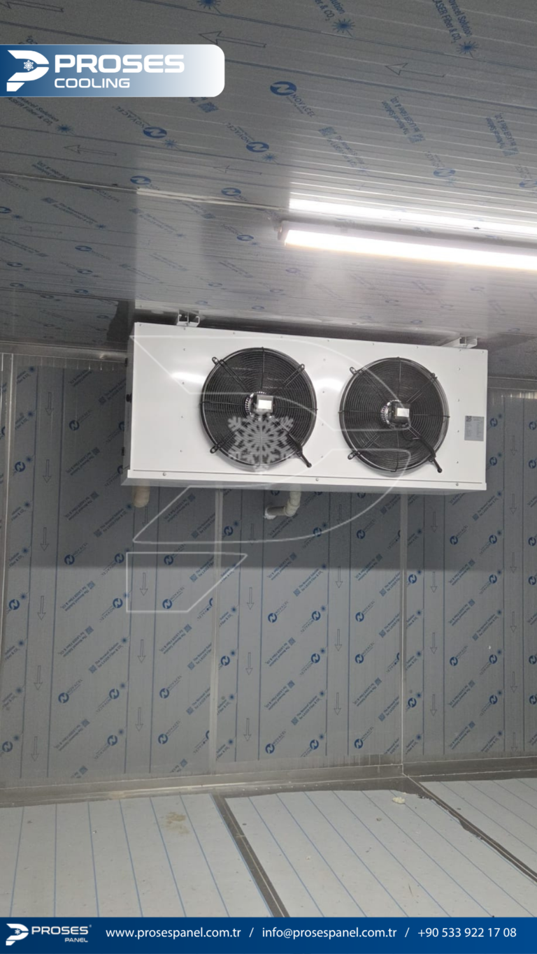 httptv.pterophyllum.online_20260402_235658_0000