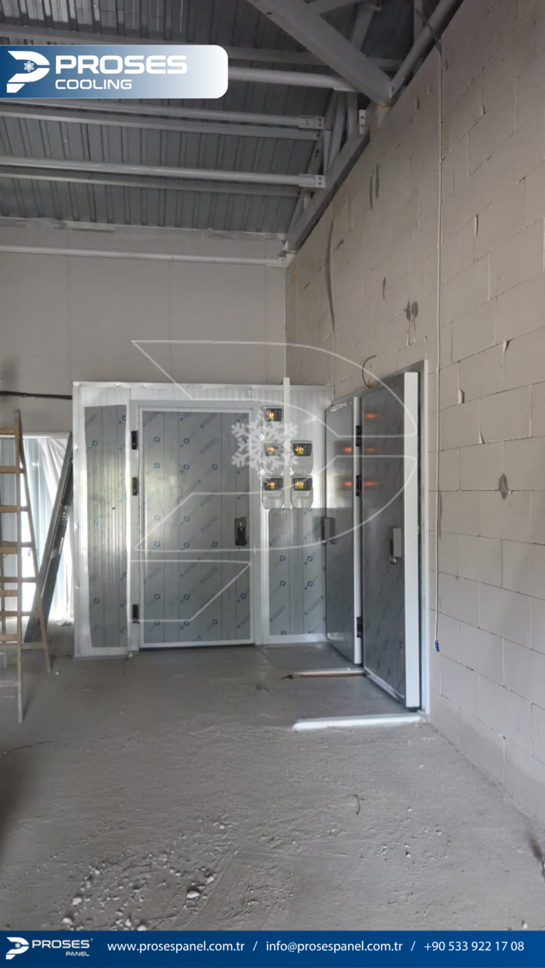 httptv.pterophyllum.online_20260402_235818_0000