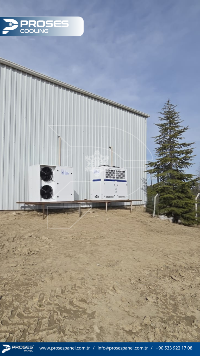 httptv.pterophyllum.online_20260403_000018_0000